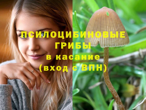 кокаин перу Каменка